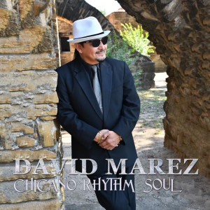 Listen to Hermoso Carino song with lyrics from David Marez