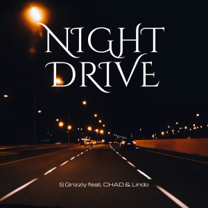 收聽S Grizzly的Night Drive歌詞歌曲