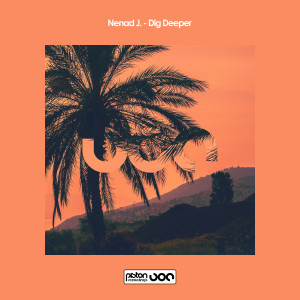 Nenad J.的專輯Dig Deeper