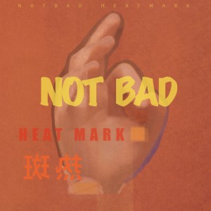 熱斑的專輯NOT BAD (Explicit)