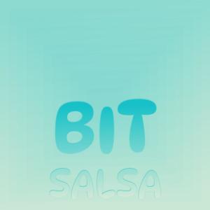 อัลบัม Bit Salsa ศิลปิน Various