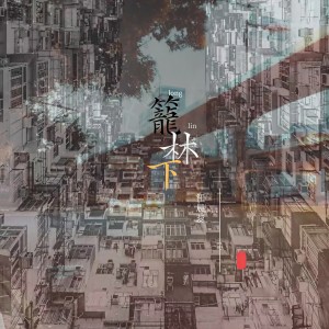 Listen to 笼林下 song with lyrics from 汪晨蕊