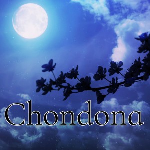 Acoustix的专辑Chondona