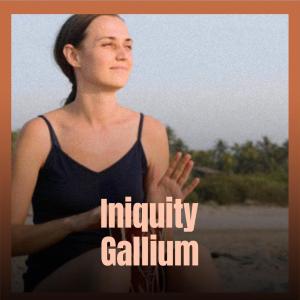 Album Iniquity Gallium from Various