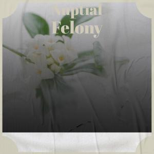 Listen to Nuptial Felony song with lyrics from Mavee