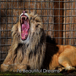 76 Beautiful Dreams
