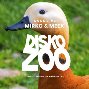 Listen to Not Your Love (Gramophonedzie Remix) song with lyrics from Mirko