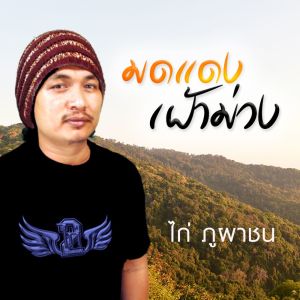 Listen to มดแดงเฝ้าม่วง song with lyrics from Group Star