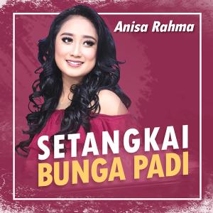 Dengarkan Setangkai Bunga Padi lagu dari Anisa Rahma dengan lirik