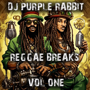 DJ Purple Rabbit的專輯Acid Breaks Vol one