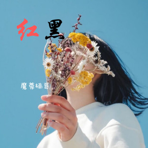 收聽魔尊楠哥的世界再無人像你 (空拍)歌詞歌曲