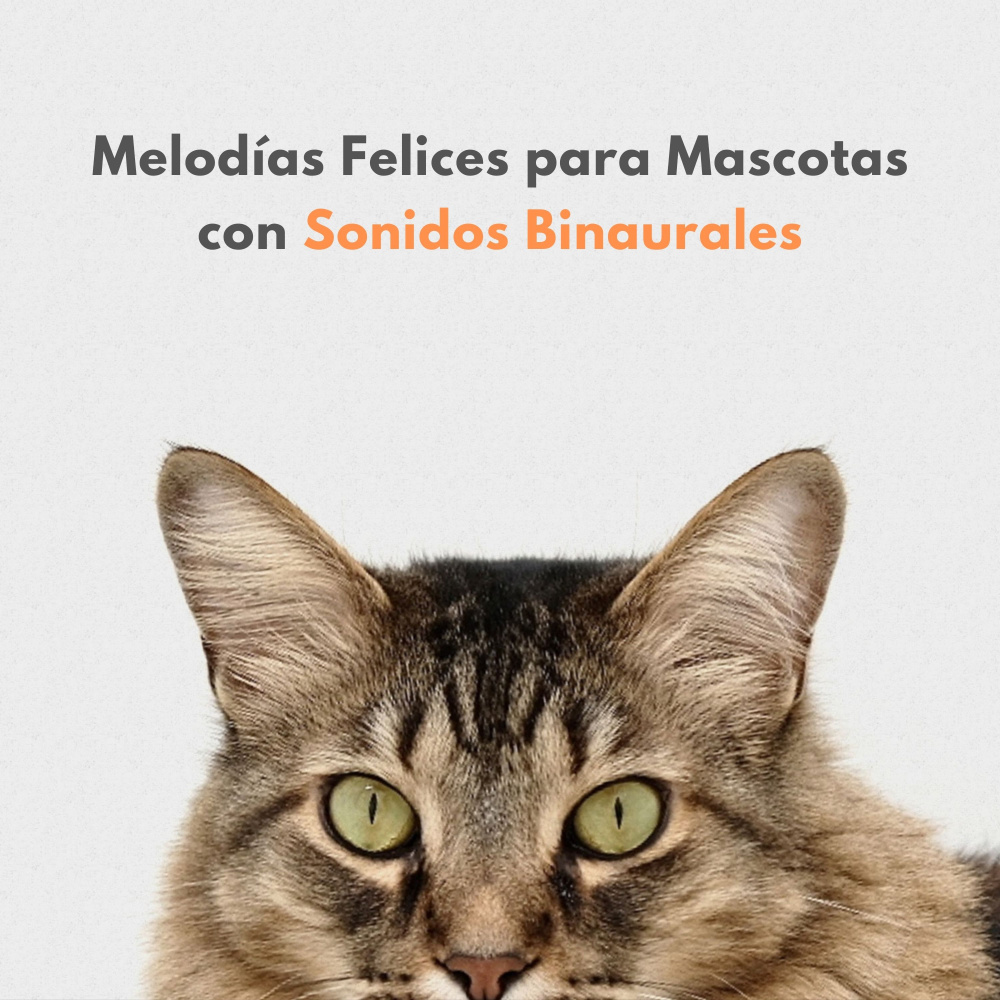 Sabuesos Animados