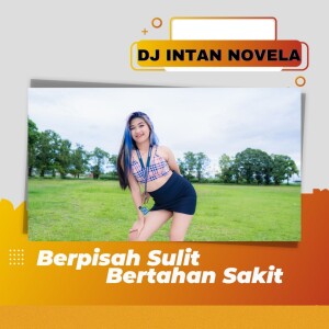 Dengarkan Berpisah Sulit Bertahan Sakit lagu dari DJ Intan Novela dengan lirik