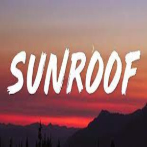 ดาวน์โหลดและฟังเพลง Sunroof พร้อมเนื้อเพลงจาก Dj viral tiktok