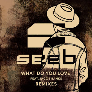 收聽Seeb的What Do You Love (Zac Samuel Remix)歌詞歌曲