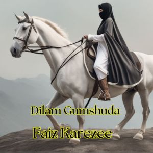 Listen to Dilam Gumshuda song with lyrics from Faiz Karezee