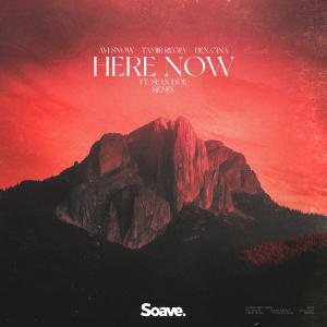 Listen to Here Now (feat. Sean Doe) (- Remix) song with lyrics from Avi Snow