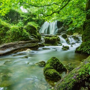 ดาวน์โหลดและฟังเพลง By Your Grace พร้อมเนื้อเพลงจาก Soaking Worshippers