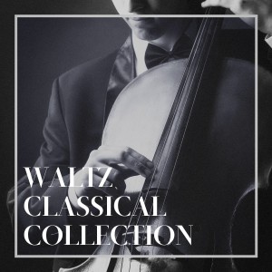 Album Waltz Classical Collection from Various Artists