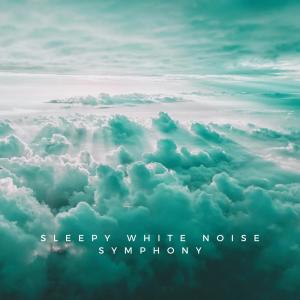 Album Sleepy White Noise Symphony oleh The Noise Project