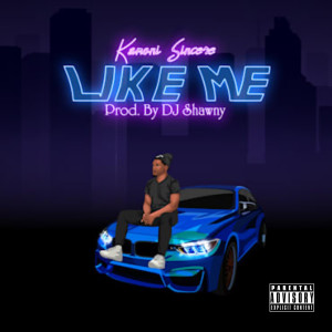 dj Shawny的专辑Like Me (Explicit)