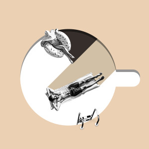 Album Crema from Zosh