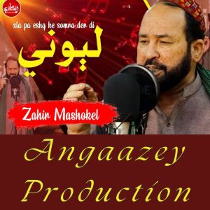 Listen to Somra Der Di Lewani song with lyrics from Zahir Mashokhel