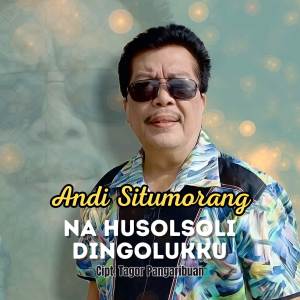 Listen to Na Husolsoli Dingolukku song with lyrics from Andi Situmorang