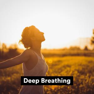 Album Deep breathing oleh Collection Spa