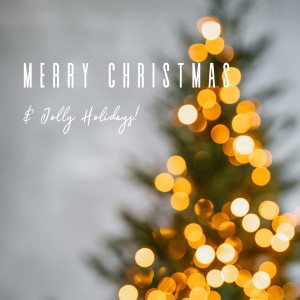 Album Merry Christmas Jolly Holidays oleh Various Artists