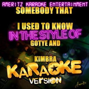 ดาวน์โหลดและฟังเพลง Somebody That I Used to Know (In the Style of Gotye and Kimbra) (Karaoke Version) พร้อมเนื้อเพลงจาก Ameritz Karaoke Entertainment