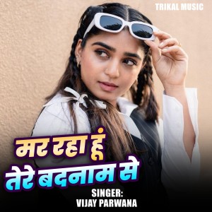 Listen to Mar Raha Hu Tere Badnam Se song with lyrics from Vijay Parwana