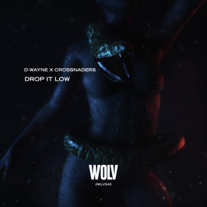 Album Drop It Low oleh D-wayne