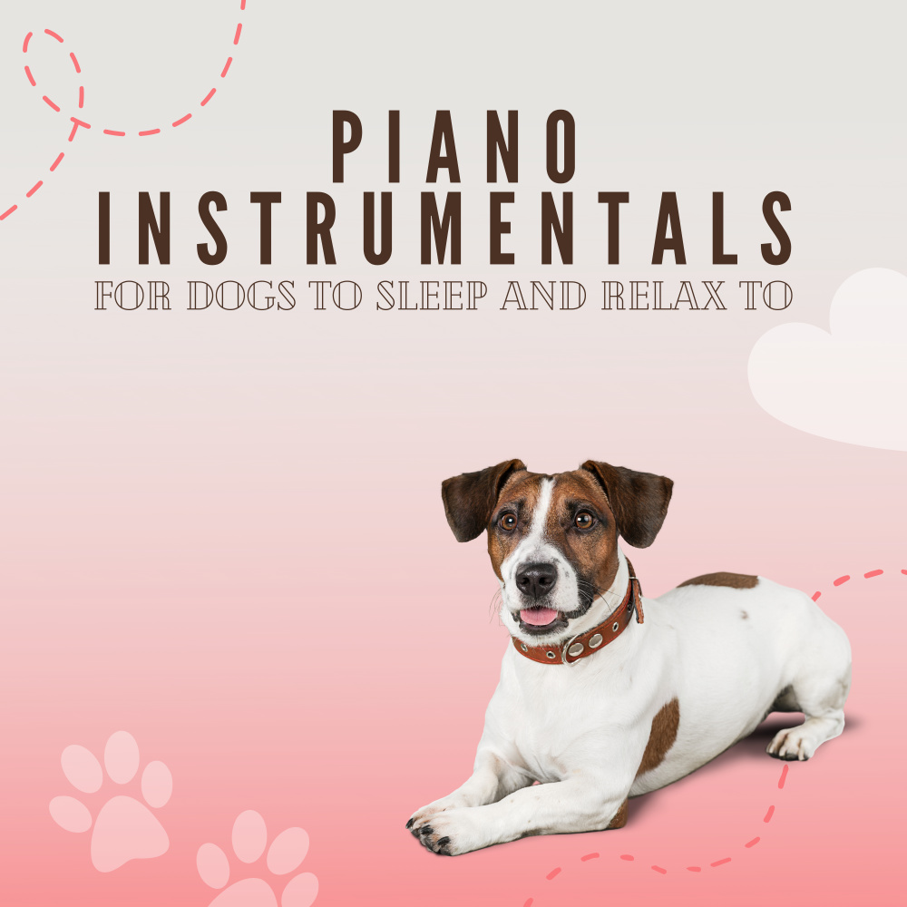 Deep sleep music for Pets