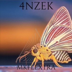 Listen to Mkflextra song with lyrics from 4nzek