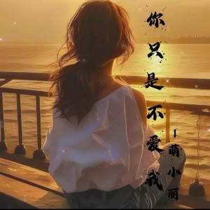 Album 你只是不爱我 from 虞丽丽