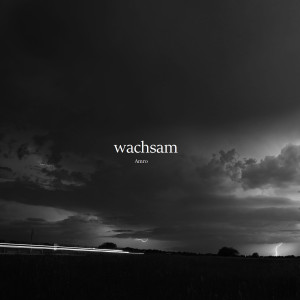 Album Wachsam from AMRO