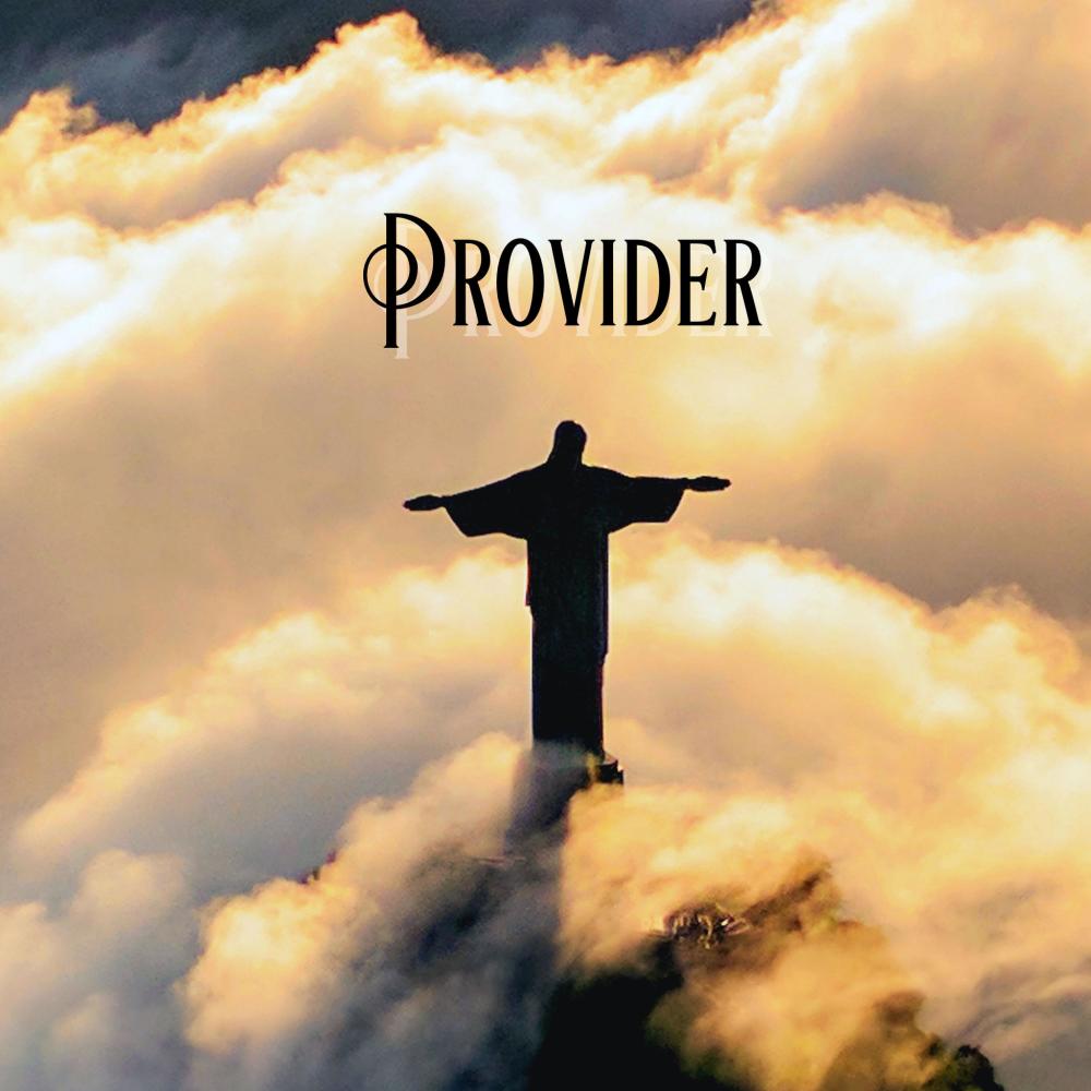 PROVIDER (Sped Up)