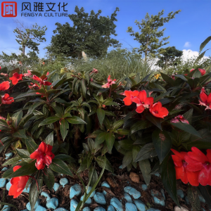 收聽一只千纸鹤的失眠治療聲音歌詞歌曲