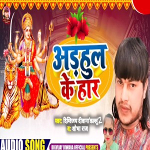 收聽Digvijay Deewana Kallu 2的Adhul Ke Har (Bhakti song)歌詞歌曲