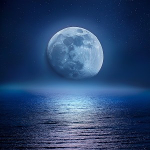 ดาวน์โหลดและฟังเพลง El Pulso De La Música Nocturna Profunda พร้อมเนื้อเพลงจาก Chill Out con Duende