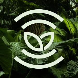 收聽Botánika的Wood Memories (feat. Morell)歌詞歌曲