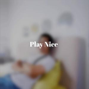 Album Play Nice from Various Artists