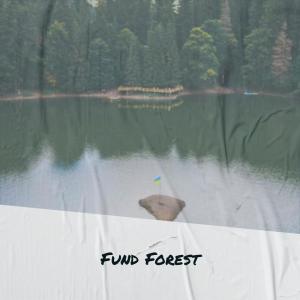 Album Fund Forest from Various