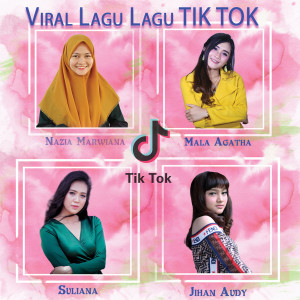 Album Kumpulan Lagu Lagu Tiktok from Various Artists