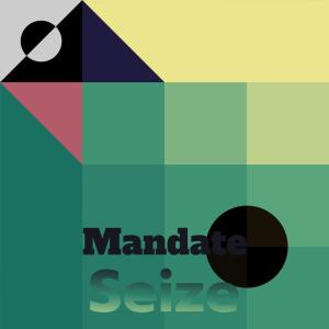 收聽Danil Boek的Mandate Seize歌詞歌曲