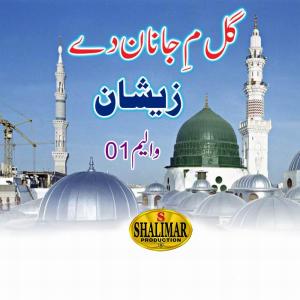 ดาวน์โหลดและฟังเพลง Aqobada Gor De Starge พร้อมเนื้อเพลงจาก Zeeshan