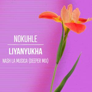 收聽Nokuhle的Liyanyukha (Deeper Mix)歌詞歌曲