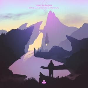 Listen to Brave song with lyrics from High Flavour