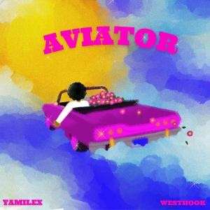 收聽West Hook的Aviator歌詞歌曲